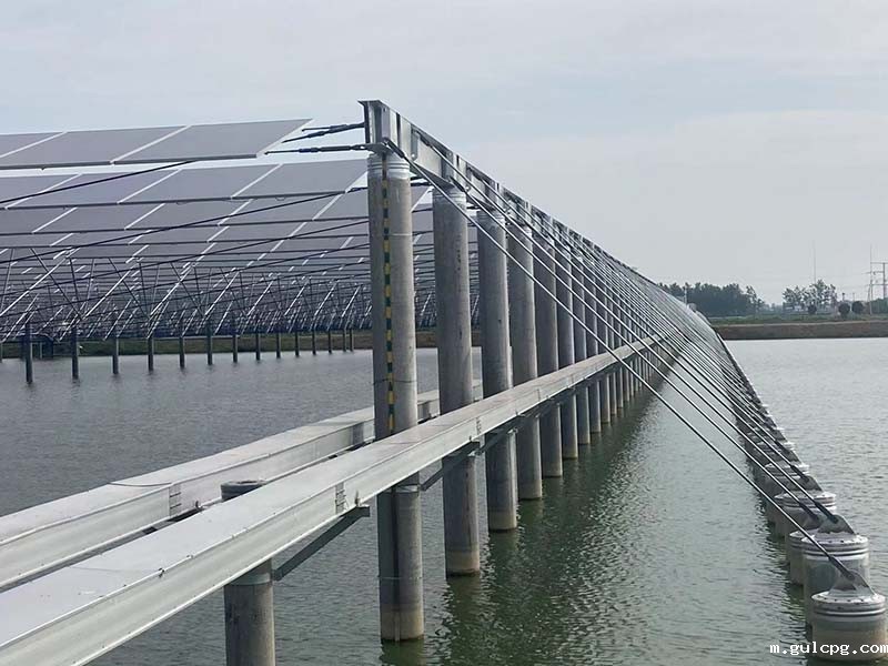 山东优米体育直播在线观看免费视频